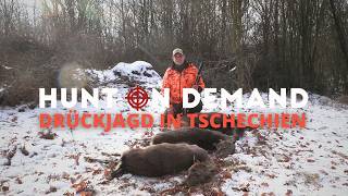 Auf Drückjagd in Tschechien 🇨🇿 von @feldundjagd6137