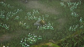 Mr.  Poestyle Plays Bramble - The Mountain King Demo On PS5 Cute Little Puzzler Right Think Again