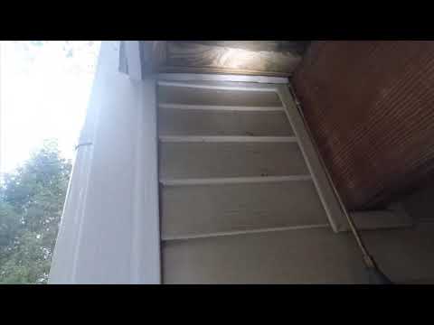 Aggressive yellowjackets alarm Middletown, NJ homeowners