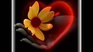 ♥♫♥ BONJOUR L'AMOUR - FRANK MICHAEL ♥♫♥