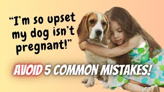 How to avoid dog mating mistakes and get your dog pregnant