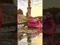 Beautiful Naat Sharif New Naat Phool Khilte Hai Padh Padh Ke Salle Ala