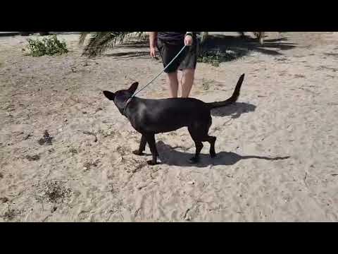Vídeo de LINDINHA