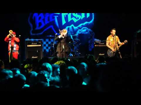 Reel Big Fish - Suburban Rhythm - Live London 2011
