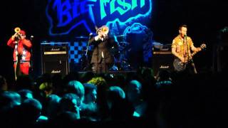 Reel Big Fish - Suburban Rhythm - Live London 2011