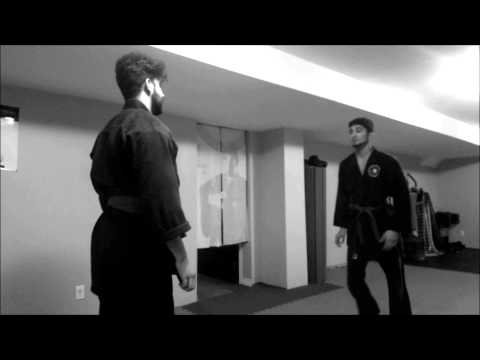 Kage Musha Dojo -  Chain Punch and Leaping take down