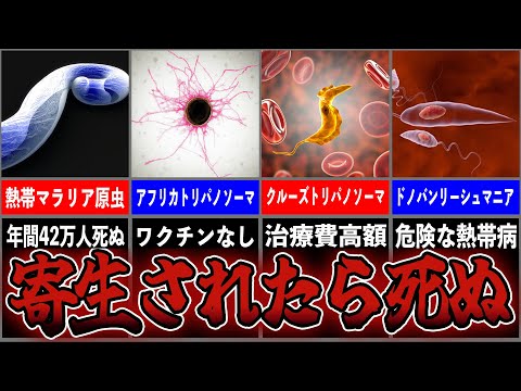 クルーズトリパノソーマ