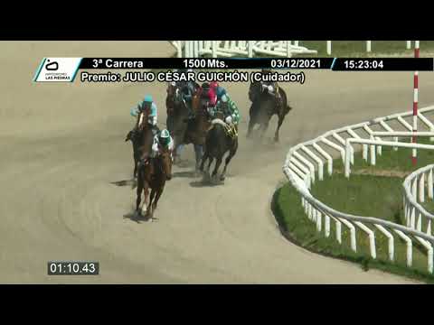 211203 c03 - LATIN KING - HIPODROMO LAS PIEDRAS