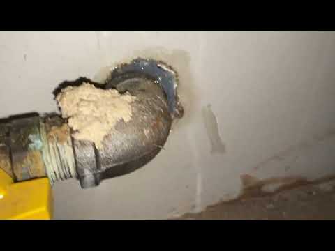 Gap Around the Gas Line Causing Mice Problems in Brielle, NJ