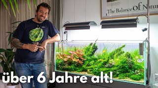 Stefans privates Aquarium - über 6 Jahre altes Aquascape von Liquid Nature