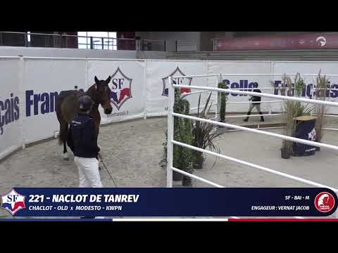 Naclot de Tanrev Chaclot x Modesto!