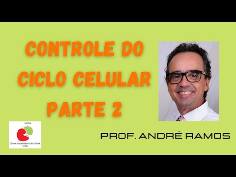 Controle do Ciclo Celular (Parte 2)