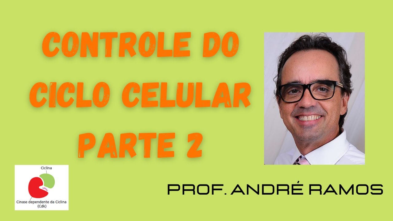 Controle do Ciclo Celular (Parte 2)