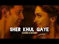 Sher Khul Gaye | [Slowed & Reverb] | Use headphones 🎧 | Stay Calm
