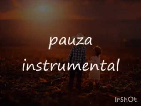 Sorin din Barbulesti - iubiti frati si dragi surori ( negativ k)