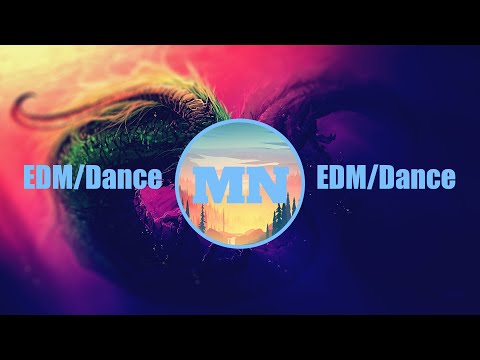 Oliver Heldens vs. Mesto vs. Flo-Rida, T-Pain - The G.O.A.T. vs. Low (WeDamnz Mashup)