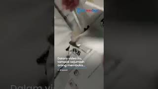 Viral Video Surat Suara di Malaysia Sengaja Dicoblosi, TKN Prabowo Gibran Bakal Lapor Bawaslu 1