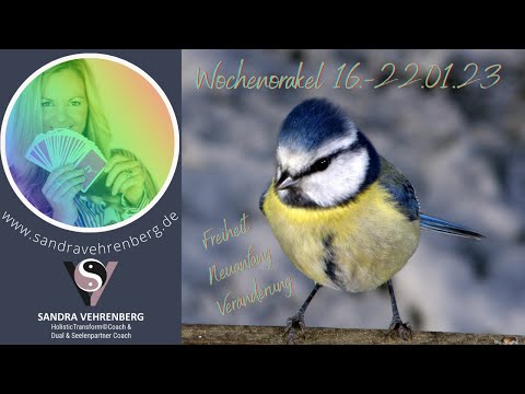 🌷#Wochenorakel 16-22.01.23 🍀#Neuanfang 💕positive #Veränderungen🌚🧜‍♂️#Freiheit durch den #Neumond