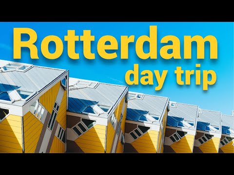 Surprising streets of Rotterdam