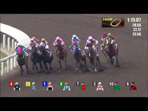 16/4/2022 (590) So We Joy - Vincent Ho