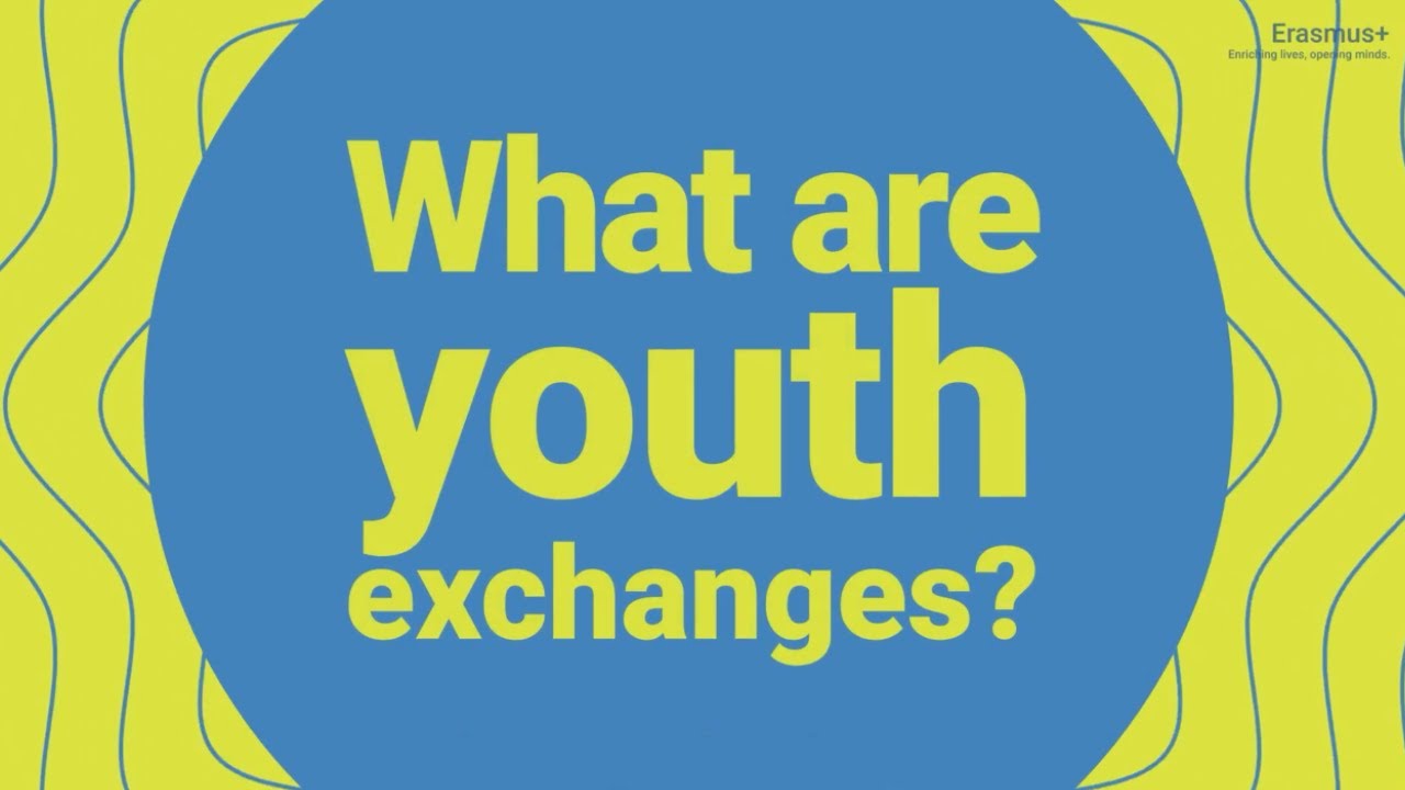 What are youth exchanges?