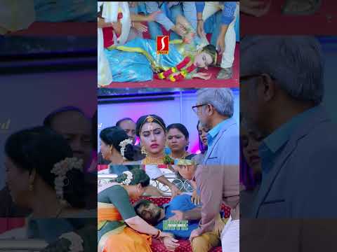 The hero and heroine's suicide attempt at the wedding hall | #shorts | #love | #rohit | #keisha