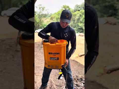 E hoje vou mostrar como está o toro dos carrapatos #confinamento #boigordo #gadodecorte #pecuaria