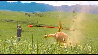 Prairie Dog Bow & Blowgun Hunter,  Unbelievable Shots!!!