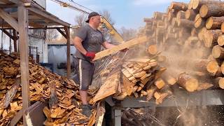 Satisfying Wood Shredding | Non Stop Woodchips