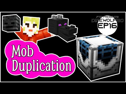 Ender Dragon Fight and Wither Skeleton Farm! EP16 Direwolf20 1.16 Modpack Lets Play