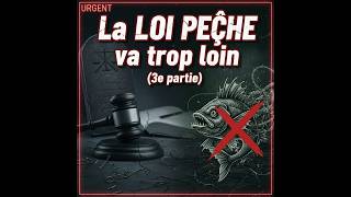 LOI PÊCHE 2026 : CE QUI CHANGE VRAIMENT