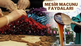 MESİR MACUNU NEDİR/MESİR MACUNU FAYDALARI NELERDİR/MESİR MACUNU NE İŞE