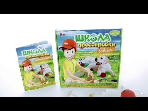 Миниатюра изображения товара Научная игра Bondibon Французские опыты. Школа дрессировки. Кошки / ВВ1438