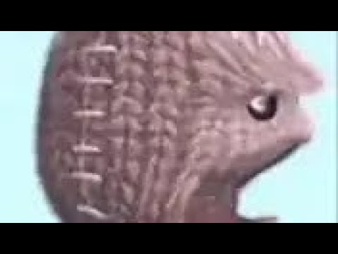 (UPDATE) FNF/LWP/DTTD V3 Teaser Concept 