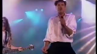 The Angels - Dogs Are Talking (Live 1990)