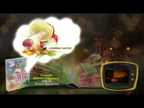 A dispărut un pitic - de Sidonia Dragusanu - poveste audio