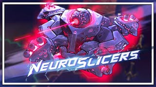 I Became Part Of The Internet To Discover Its Secrets | Neuroslicers