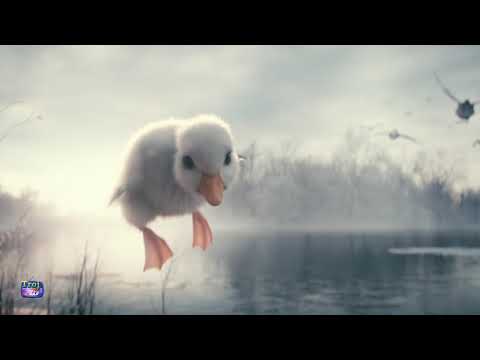 Мястото, където магията става реалност