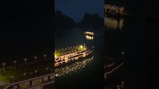 Stay overnight on a Halong luxury cruise hit different at night 😍