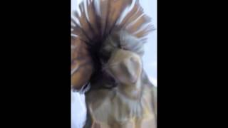 Hosanna In The Deepest by Jamie O&#39;Hara