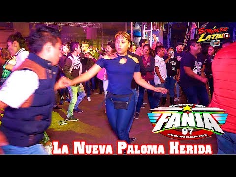 LA NUEVA PALOMA HERIDA - SONIDO FANIA 97 - LO MAS NUEVO - 16 SEPTIEMBRE 2018 CHACHAPA -CON SAMURAI