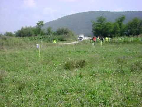 arad rally2011