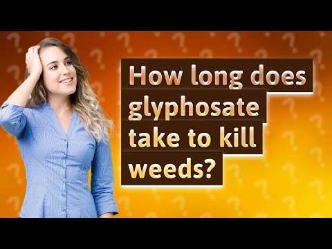How long does glyphosate take to kill weeds?