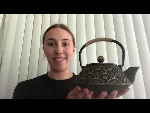 The Best Japanese Tea Set Tea Pot - VUDECO