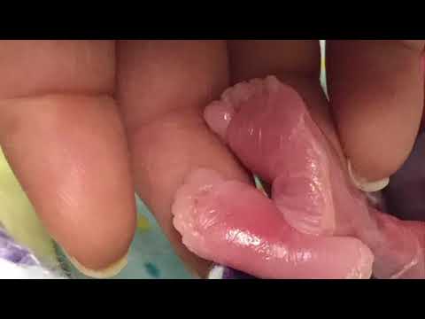 In Loving Memory of LaiLa