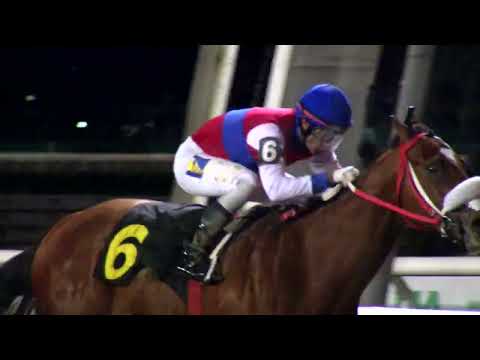 220828 c09 UPPERCUT (BRZ)