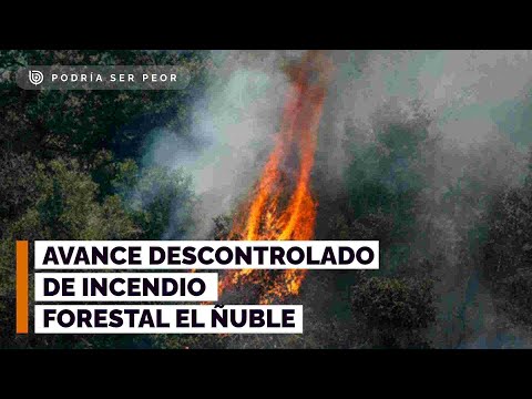 Alcalde de Ranquil advierte avance descontrolado de incendio forestal
