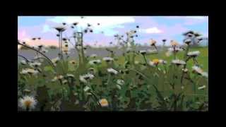 Modest Mouse - So Much Beauty in Dirt