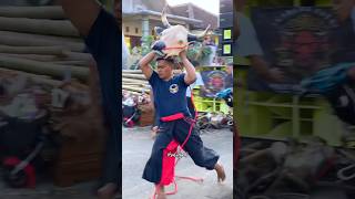 Download lagu Bantengan PUTRO MAHESO SEJATI Ngamok #jaranan #mberot #bantengan #shortvideo #shorts #short mp3 Download lagu Bantengan PUTRO MAHESO SEJATI Ngamok #jaranan #mberot #bantengan #shortvideo #shorts #short mp3