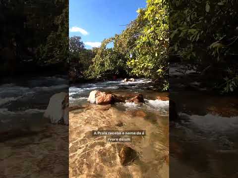 Praia do Pequizeiro | Tocantins